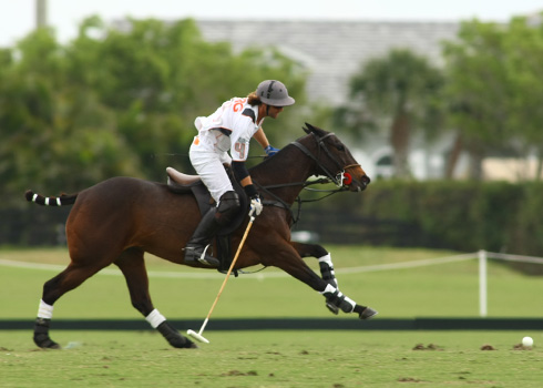 Polo magazine polo photos polo club ERG polo team Orchard Hill alex pacheco