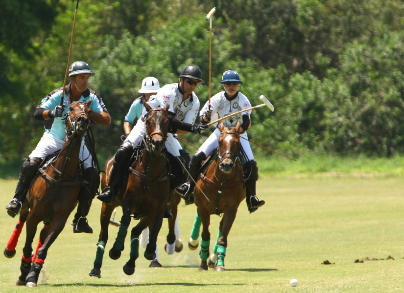 polosun 5